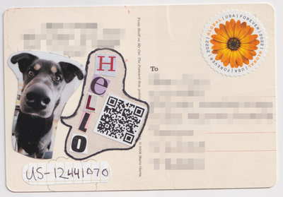 A wide angle cut out photo of my dog donut looking at the camera very close up with a speech bubble that contains magazine letters spelling 'HELLO' and a QR code that (I think) goes to a funny YouTube video of an orangutan driving a golf cart.
