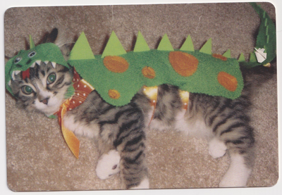 A silly photo of a cat in a dinosaur costume laying on some carpet.