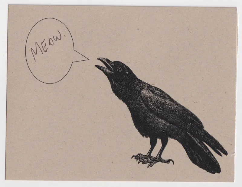Front of postcard. Kraft paper colored postcard with a drawing of an open-mouthed crow. A speech bubble is next to the crow's mouth. The speech bubble says "meow".