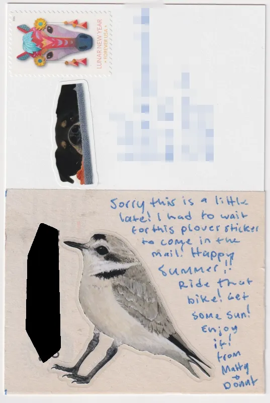 Back of postcard; a large sticker of a piping plover on the bottom of the card. A nice message written next to the sticker.